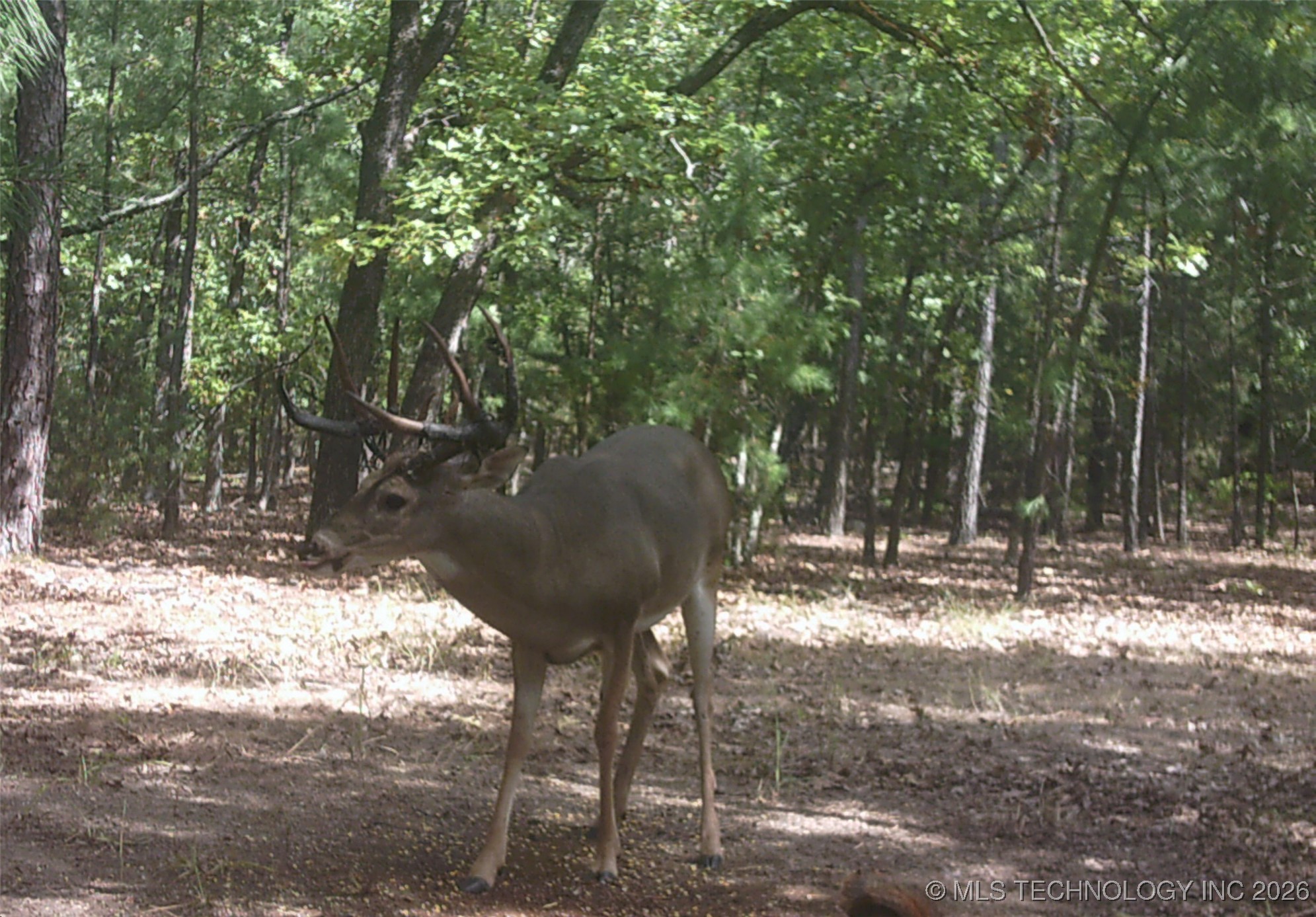 187602 N 4138 Road Antlers OK 74523