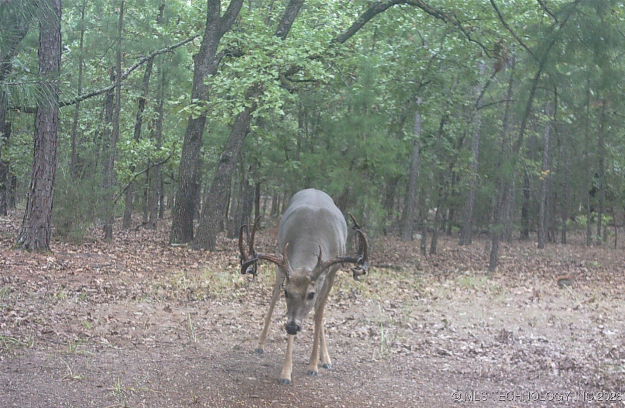 187602 N 4138 Road Antlers OK 74523