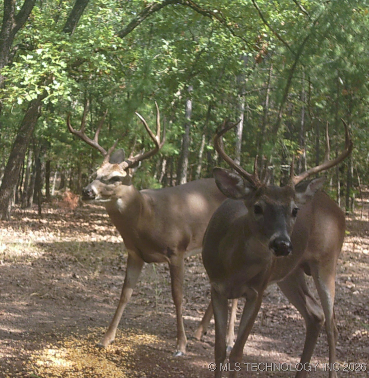 187602 N 4138 Road Antlers OK 74523