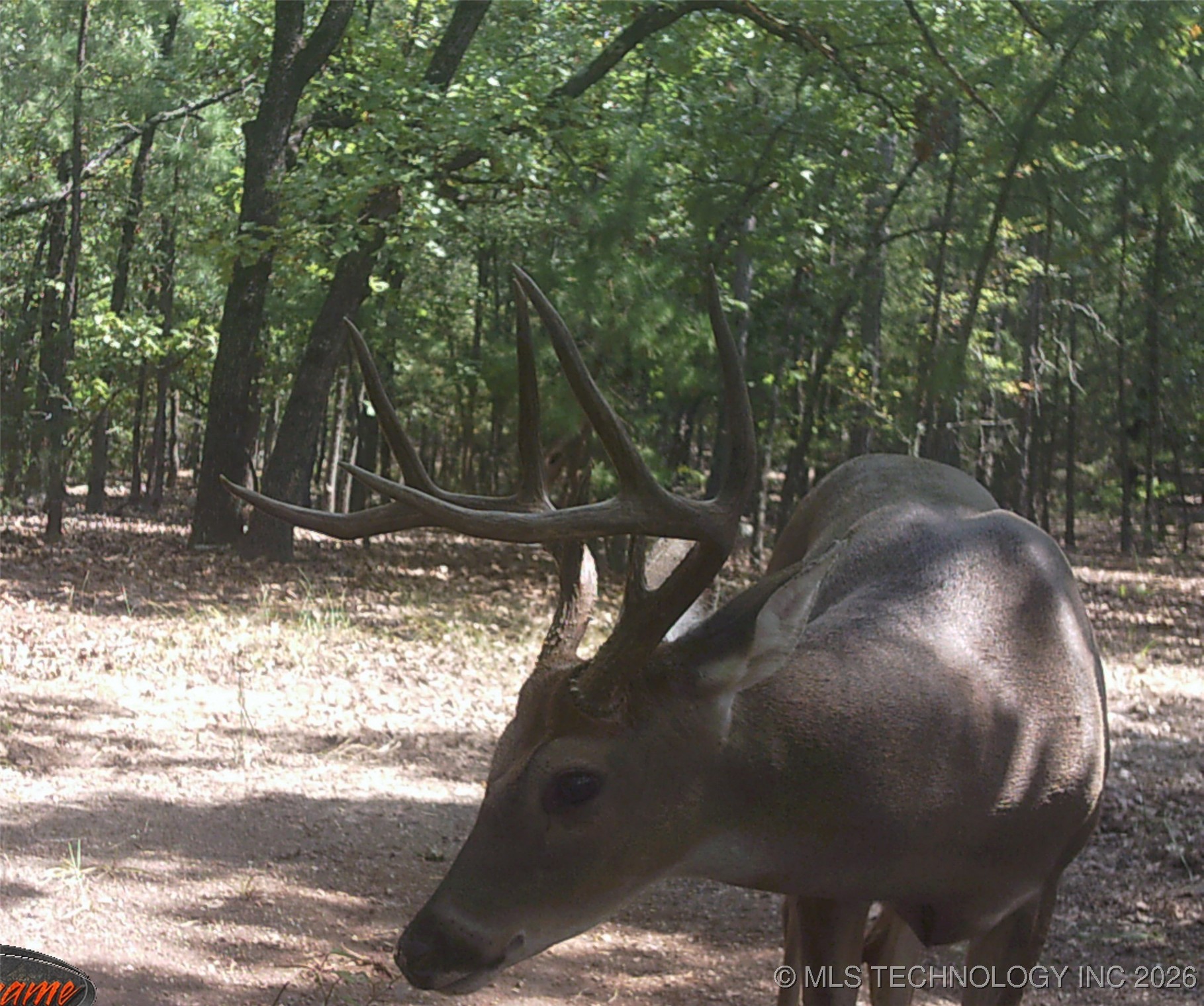 187602 N 4138 Road Antlers OK 74523