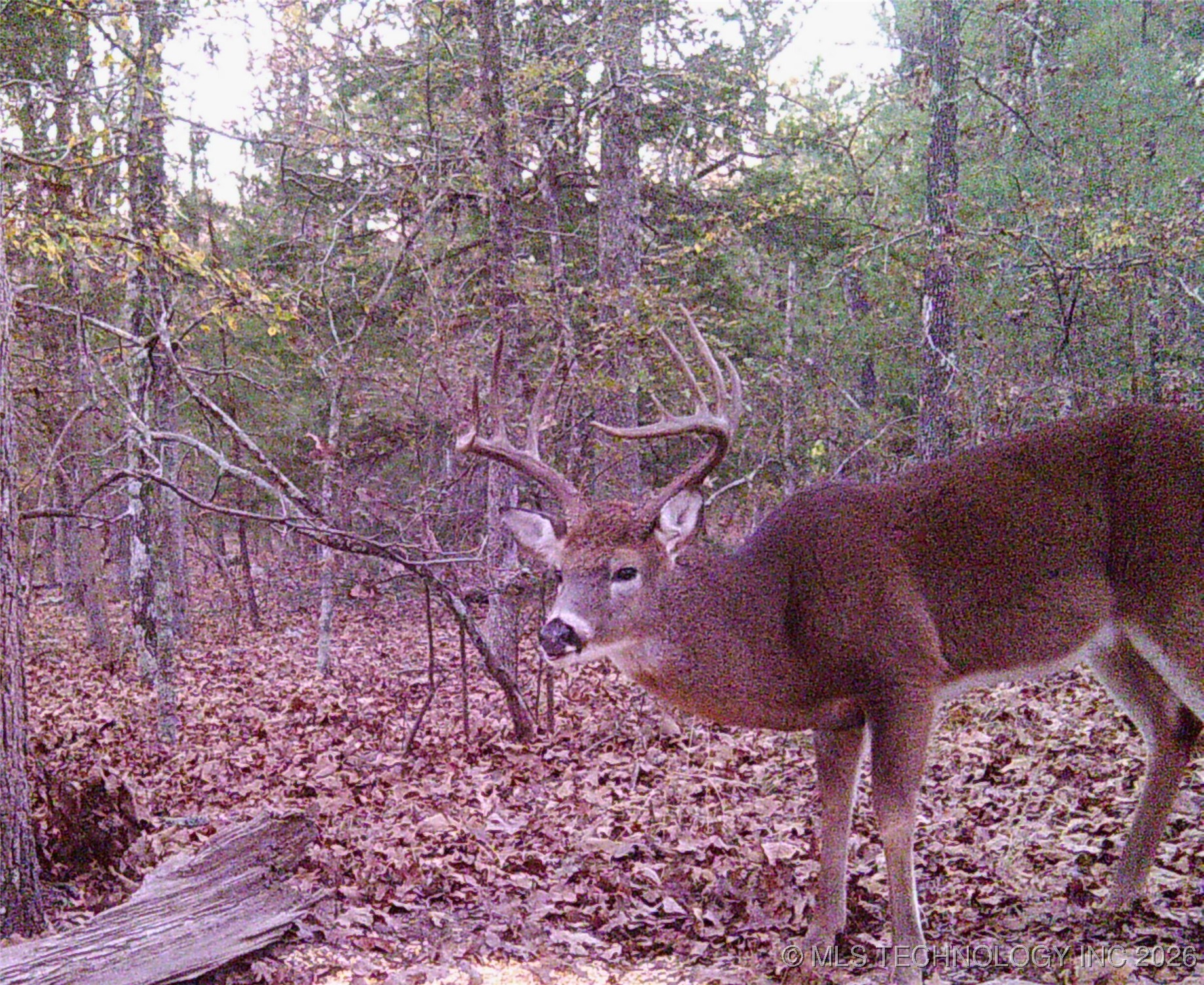 187602 N 4138 Road Antlers OK 74523