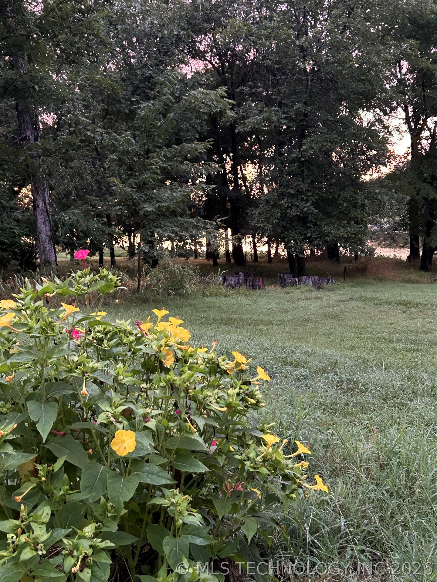 2897 N Lakeside Circle Atoka OK 74525