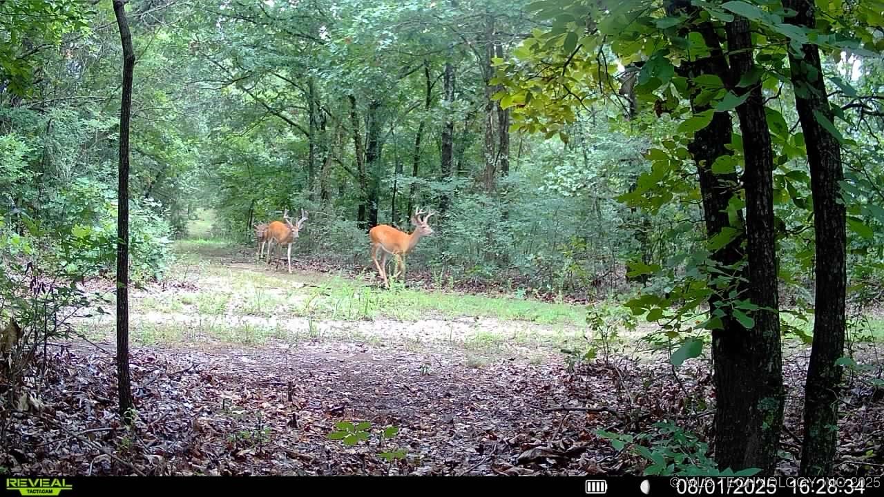 4100 N 430 Road Locust Grove OK 74352