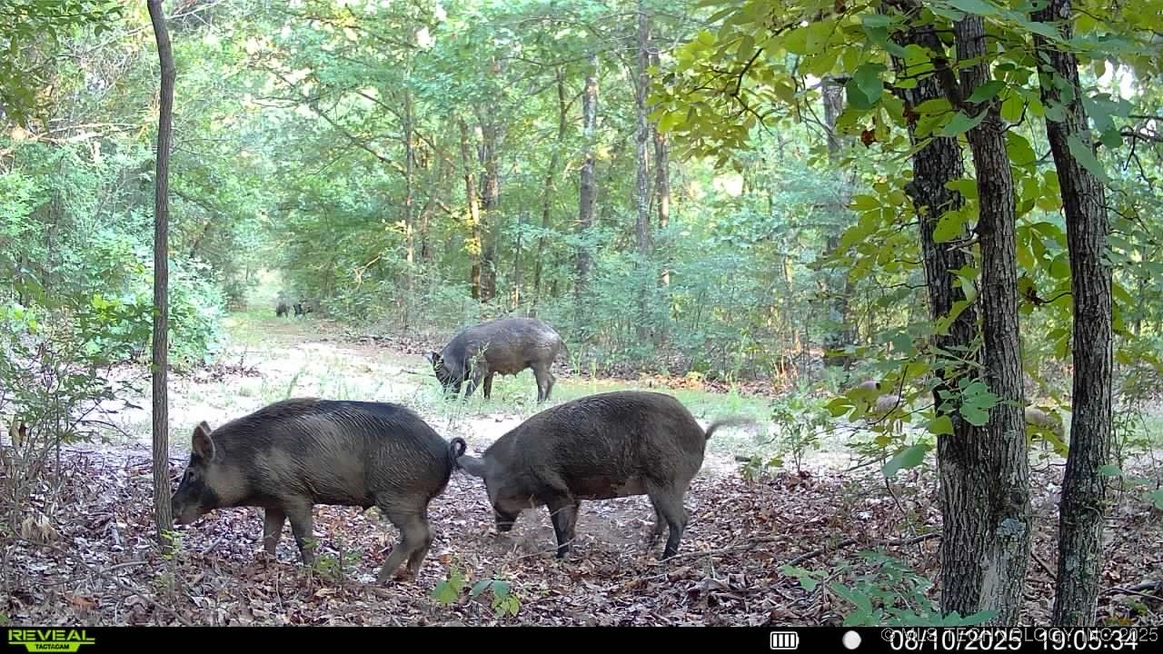 4100 N 430 Road Locust Grove OK 74352