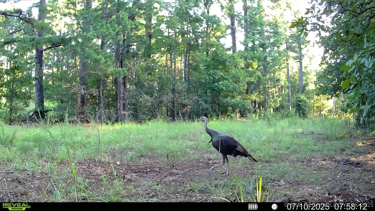 4100 N 430 Road Locust Grove OK 74352