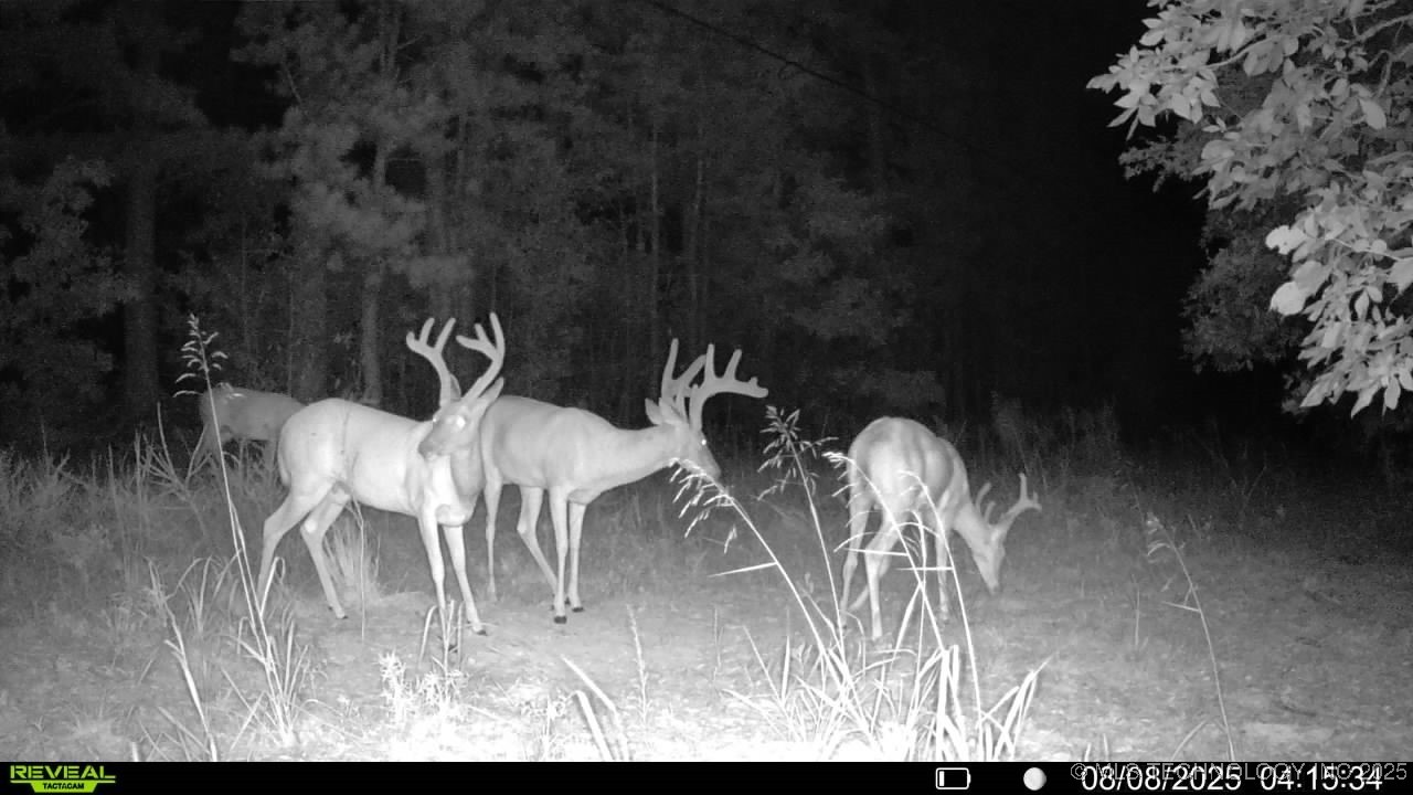 4100 N 430 Road Locust Grove OK 74352