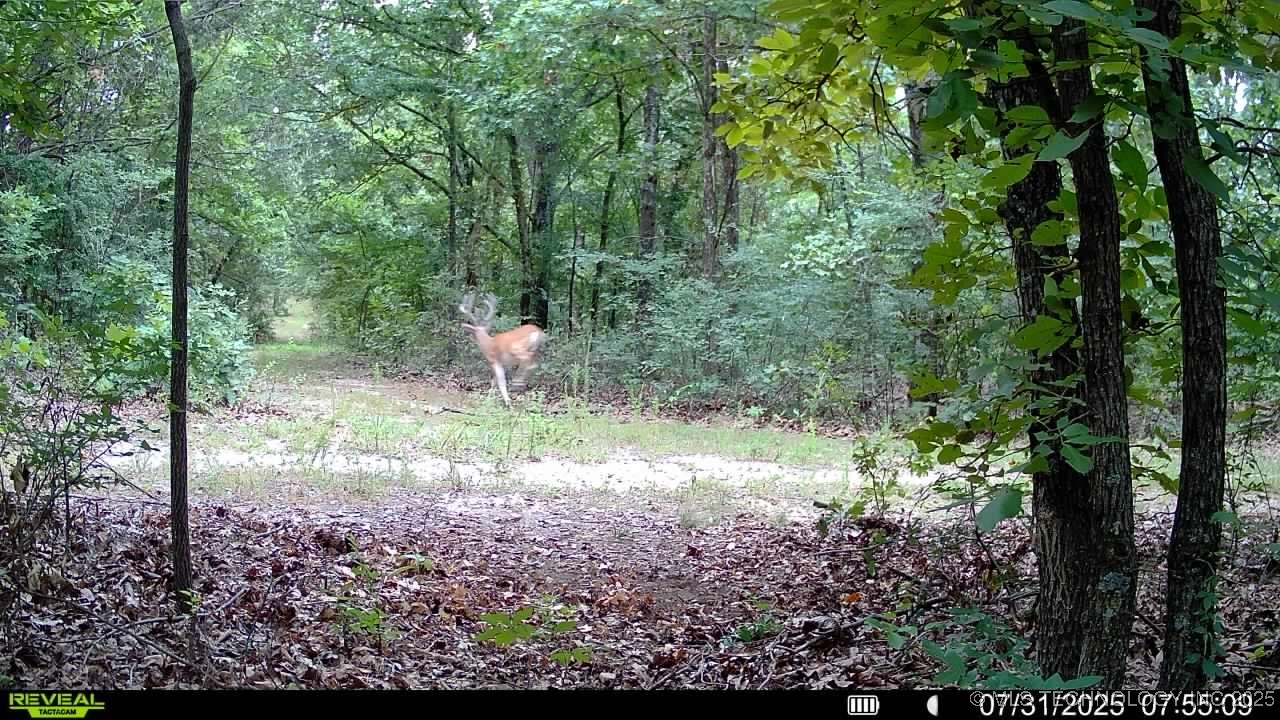 4100 N 430 Road Locust Grove OK 74352