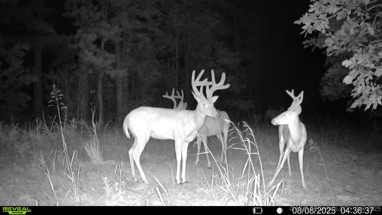 4100 N 430 Road Locust Grove OK 74352