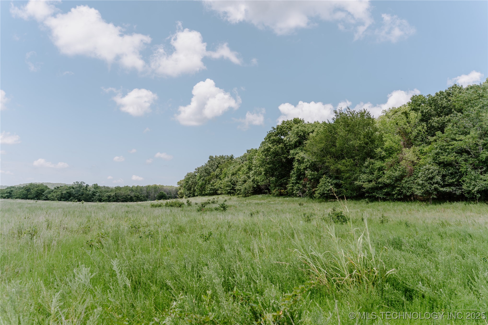 4100 N 430 Road Locust Grove OK 74352