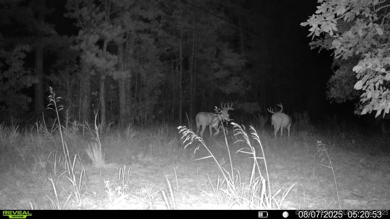 4100 N 430 Road Locust Grove OK 74352