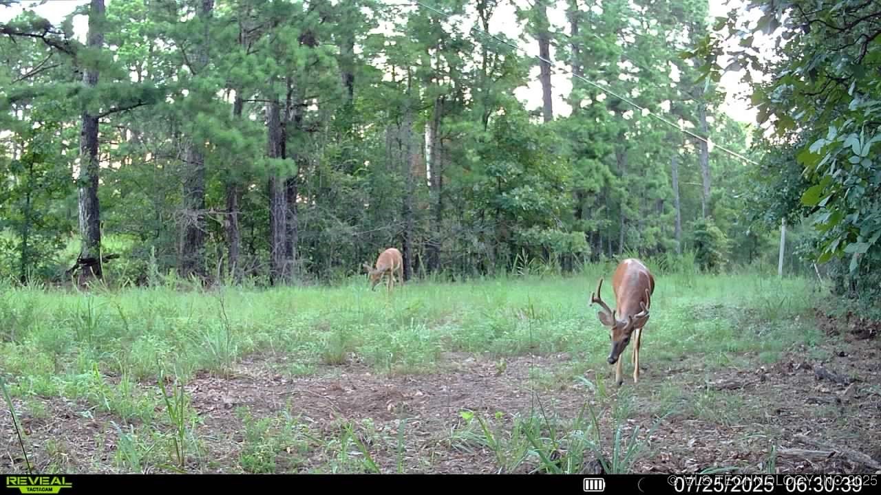 4100 N 430 Road Locust Grove OK 74352