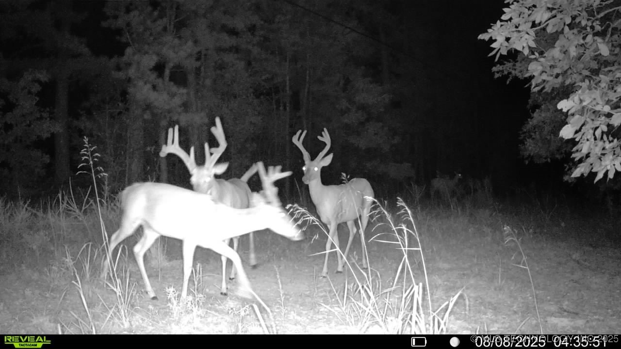 4100 N 430 Road Locust Grove OK 74352