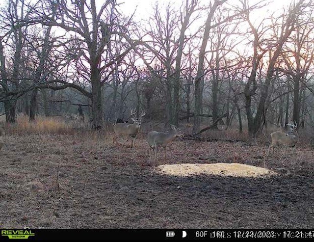 4100 N 430 Road Locust Grove OK 74352