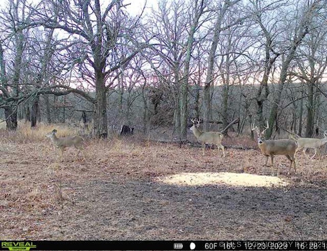 4100 N 430 Road Locust Grove OK 74352