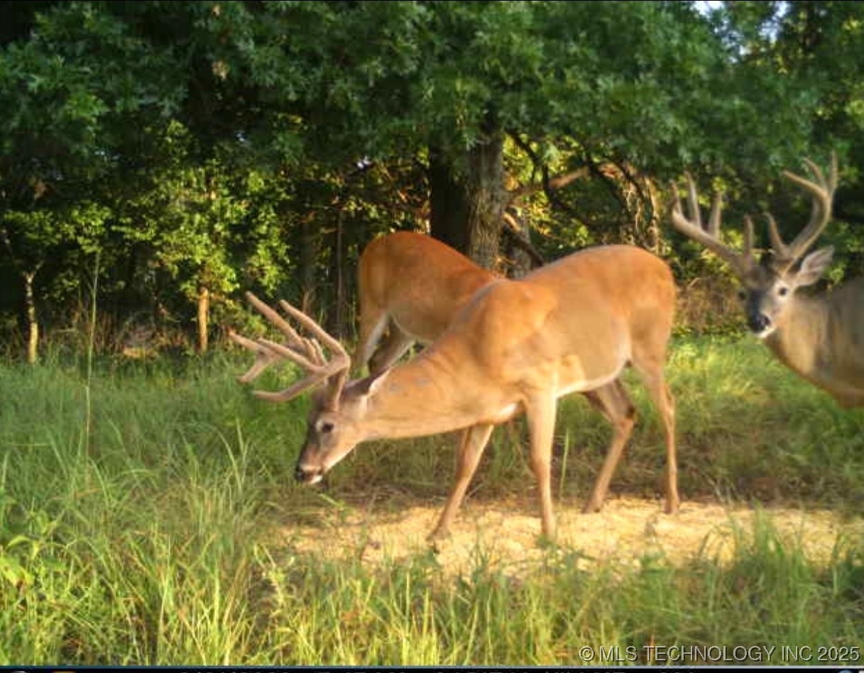 4100 N 430 Road Locust Grove OK 74352