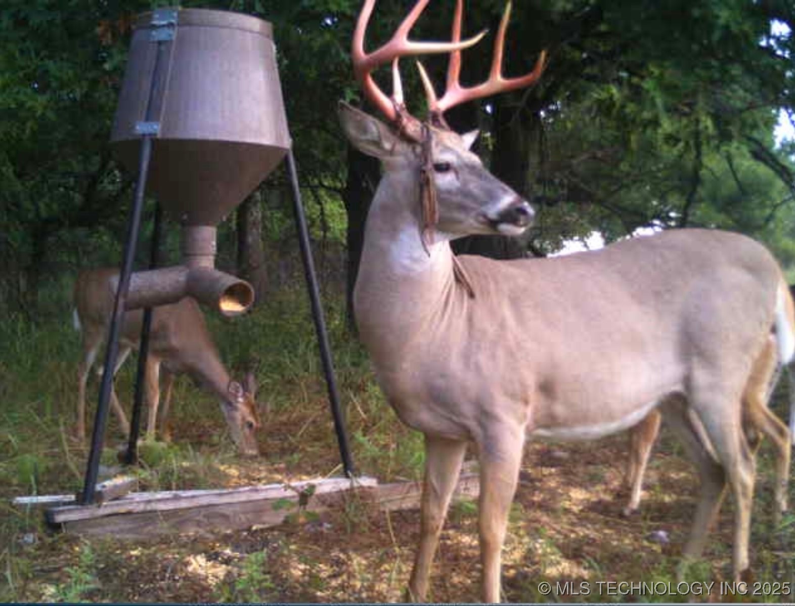 4100 N 430 Road Locust Grove OK 74352