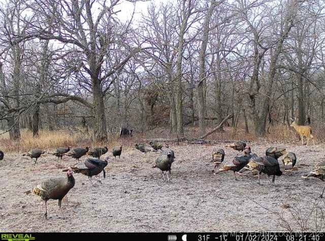 4100 N 430 Road Locust Grove OK 74352