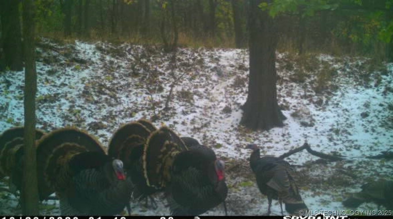 4100 N 430 Road Locust Grove OK 74352
