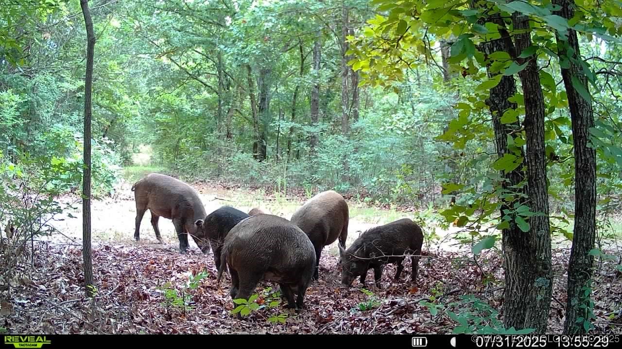 4100 N 430 Road Locust Grove OK 74352