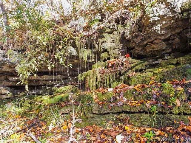 3537 NE 4448 Spavinaw OK 74366