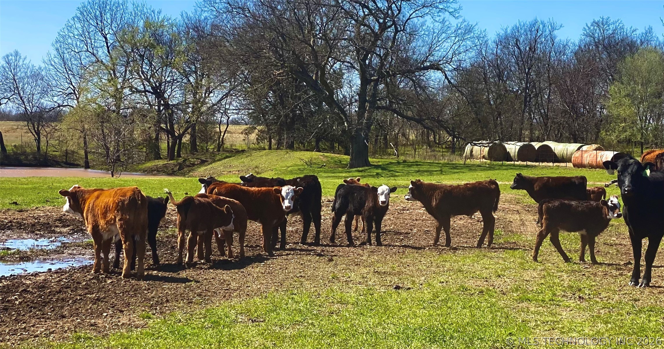 14570 Box Road Lexington OK 73051