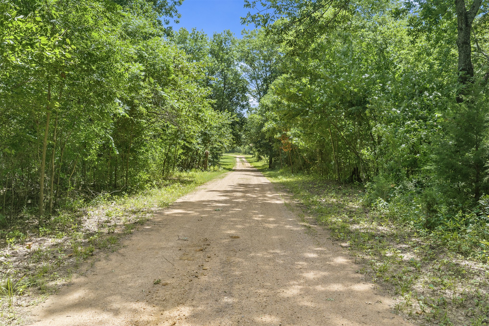 2474 S Log Cabin Tishomingo OK 73460