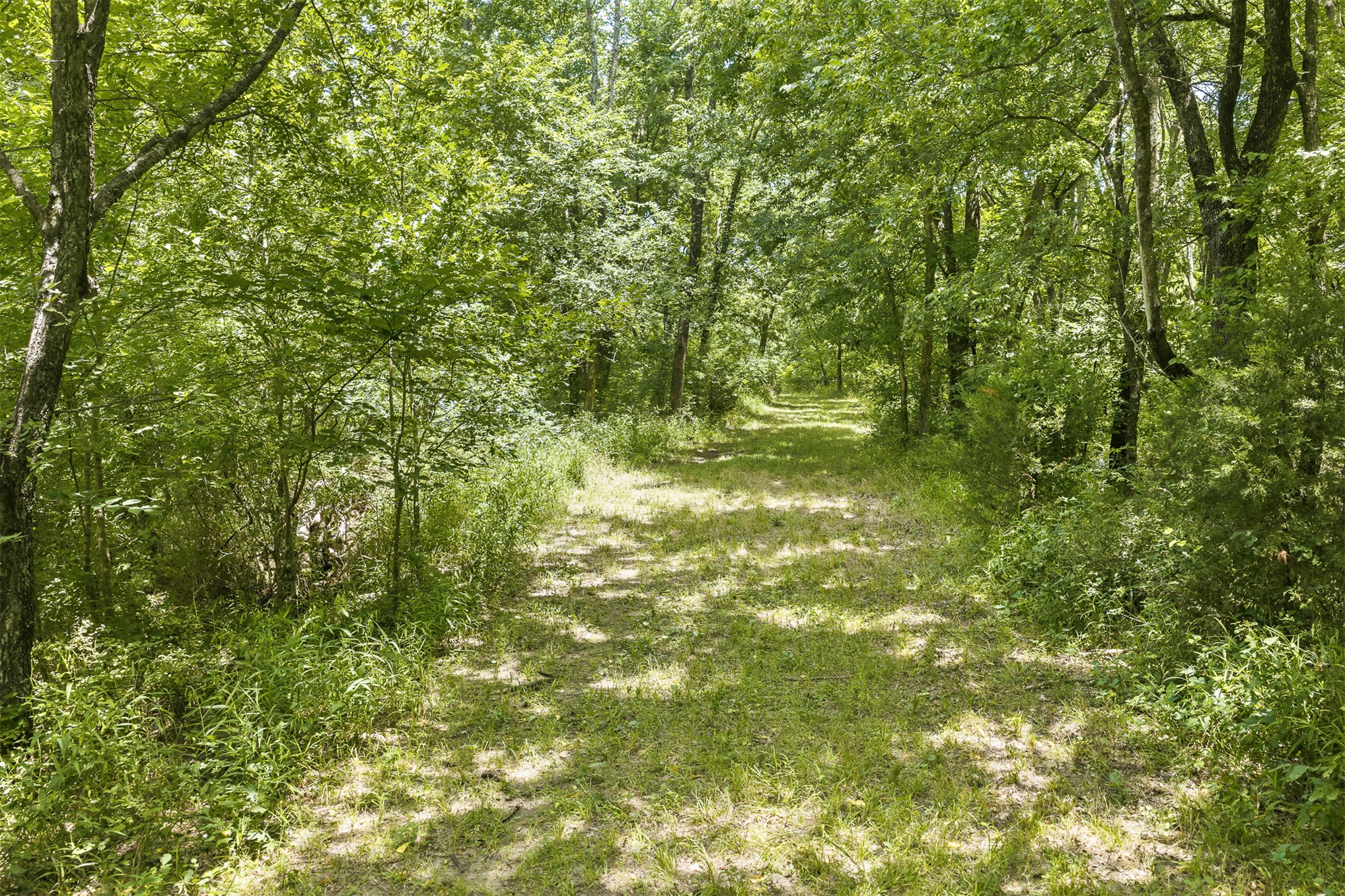 2474 S Log Cabin Tishomingo OK 73460