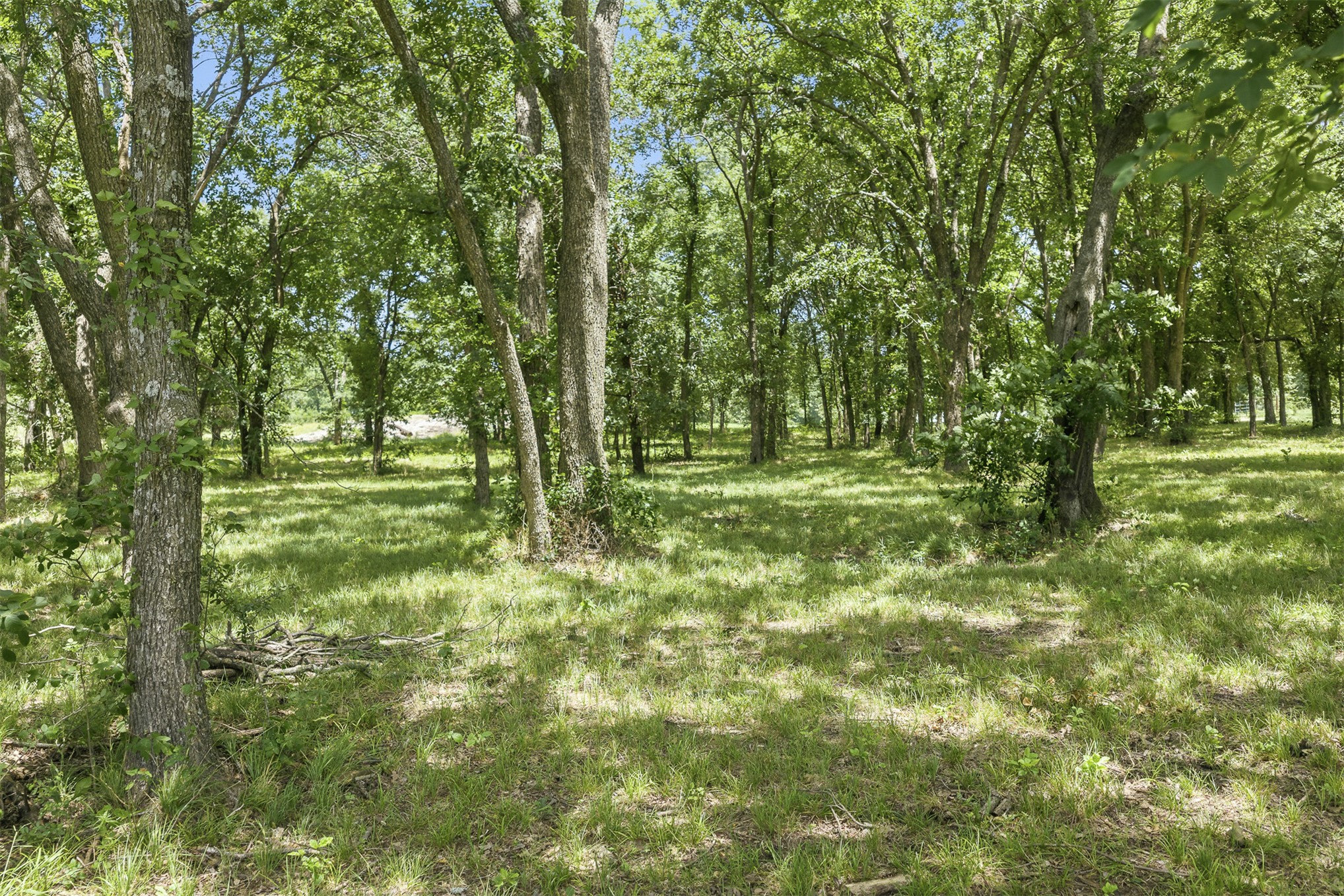 2474 S Log Cabin Tishomingo OK 73460