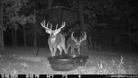 21501 S 705 Road Wyandotte OK 74370