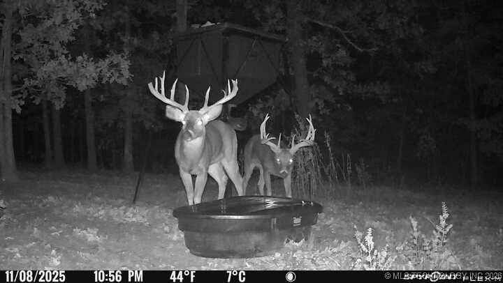 21501 S 705 Road Wyandotte OK 74370