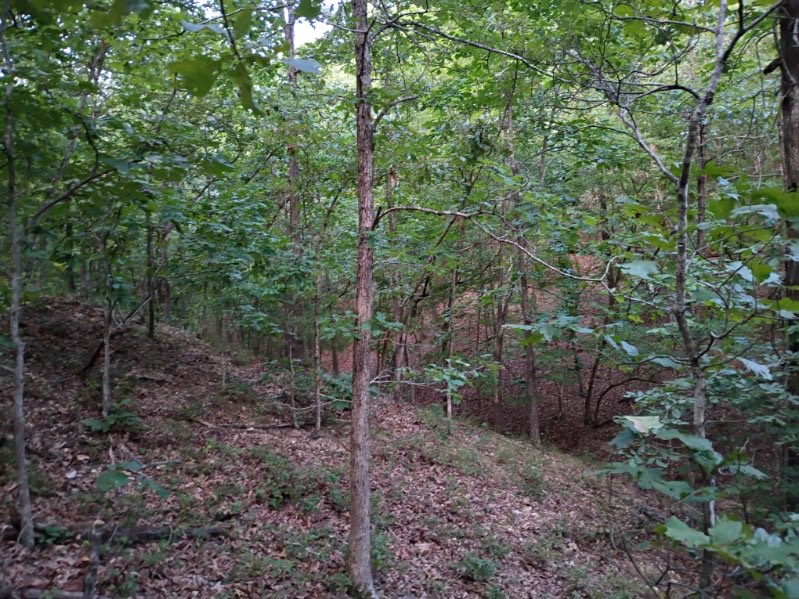464058 Taylor Ridge Road Proctor OK 74457