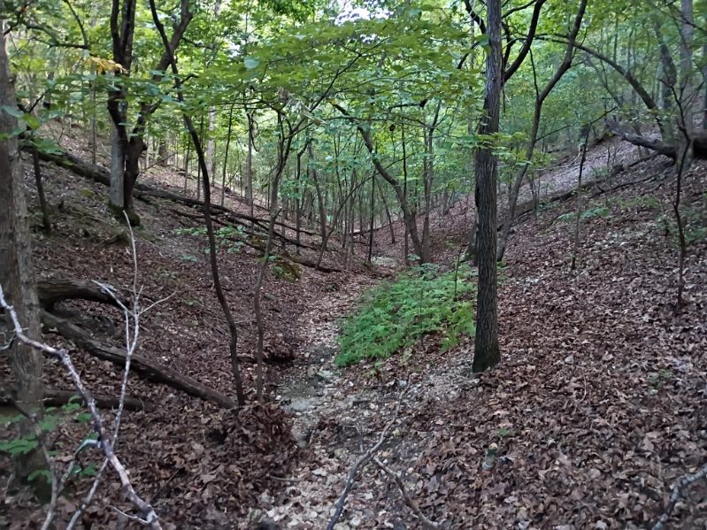 464058 Taylor Ridge Road Proctor OK 74457