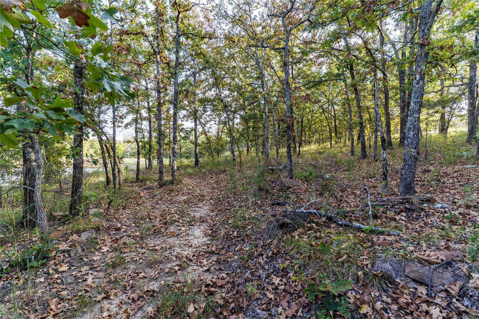 10670 Forest Lake Drive Sapulpa OK 74066