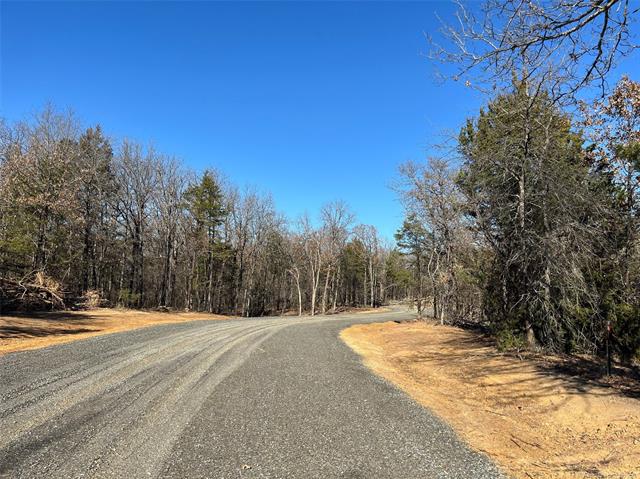 155 Tumbleweed Trail Tishomingo OK 73460