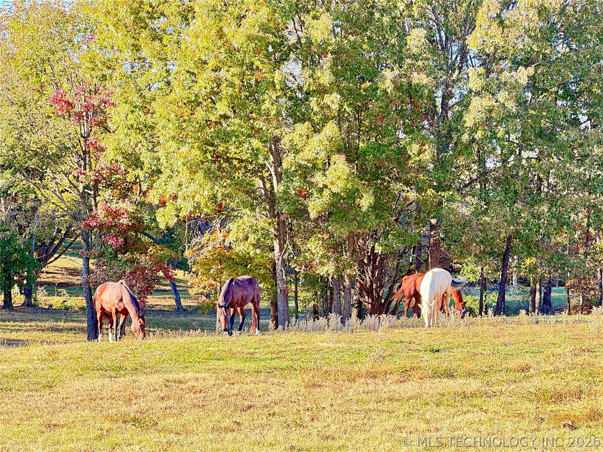 4321 S Bentley Road Atoka OK 74525