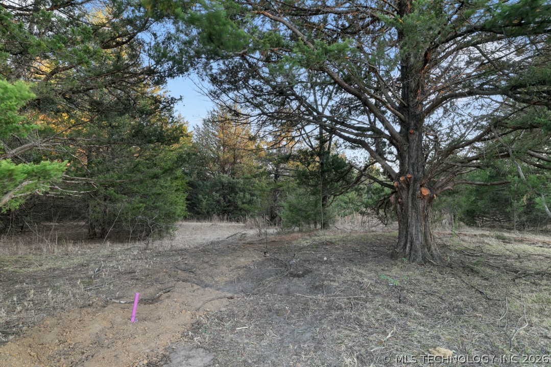 63 Deerfield Road Colbert OK 74733