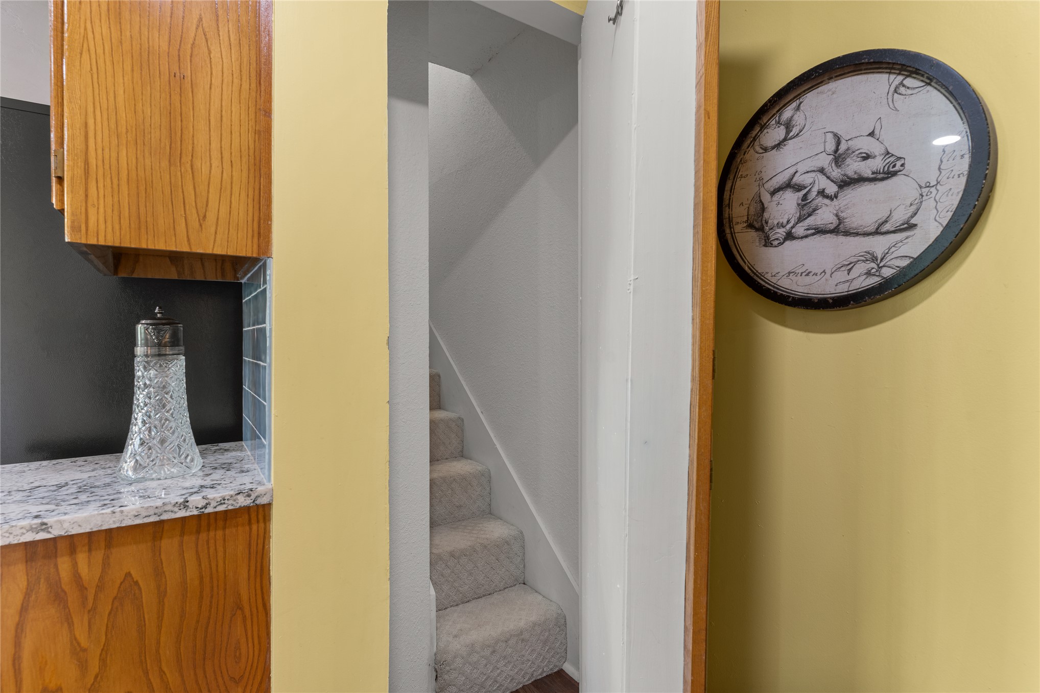 15594 Overlook Drive Skiatook OK 74070