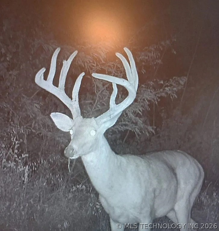 2307 County Road 3416 Byars OK 74831