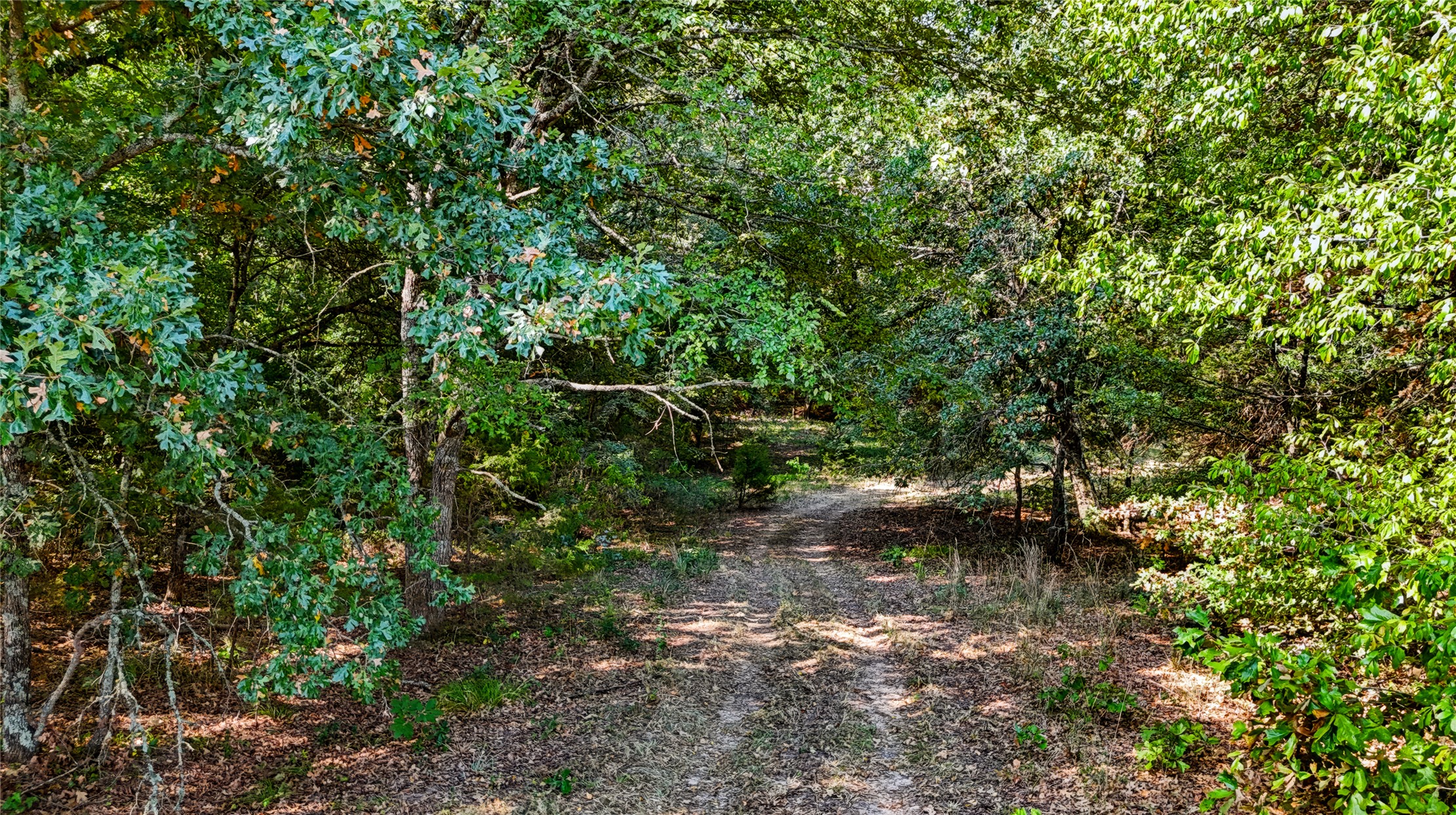 3597 Half Bank Road Atoka OK 74525