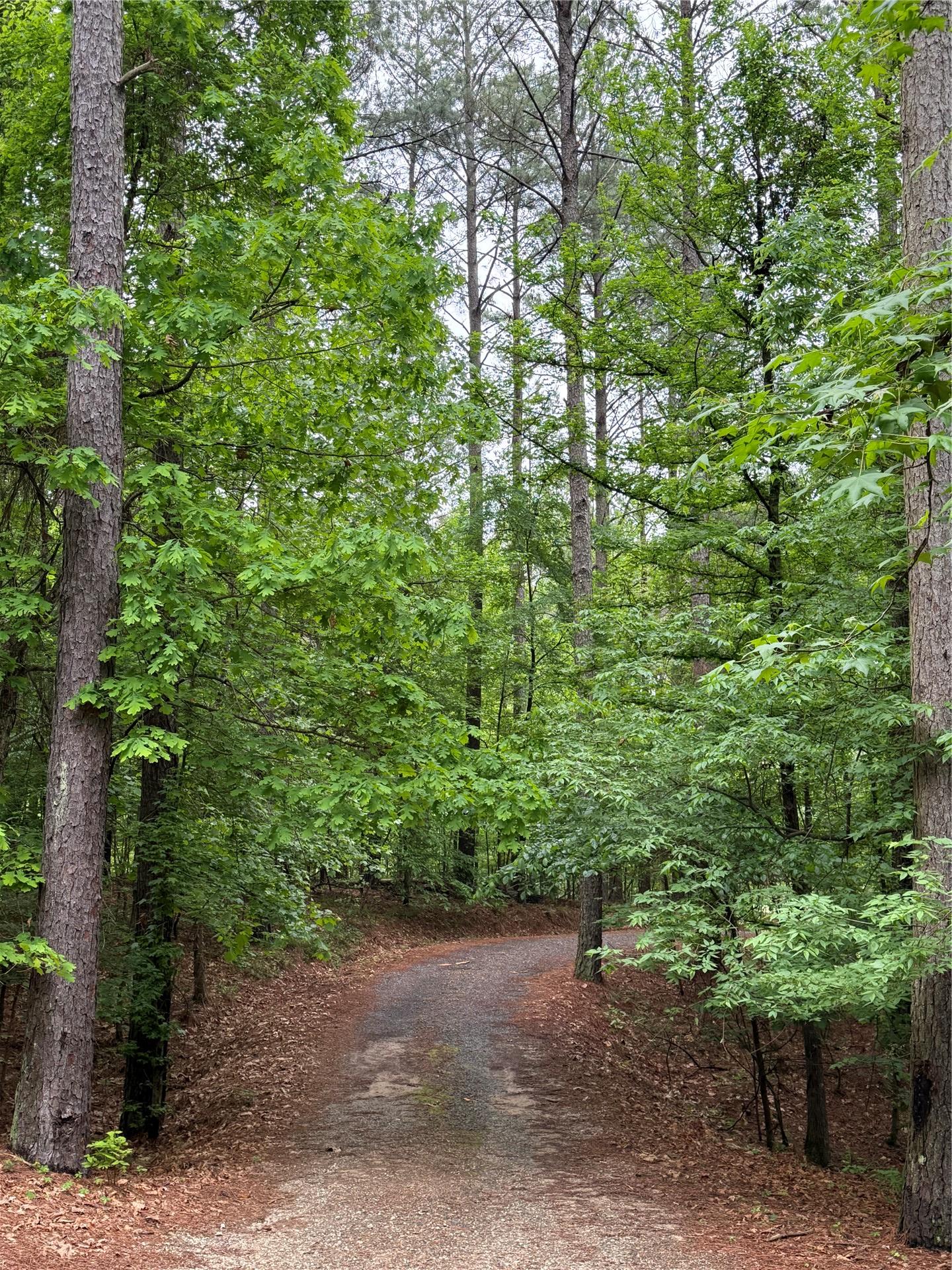 57 W High Peak Trail Broken Bow OK 74728