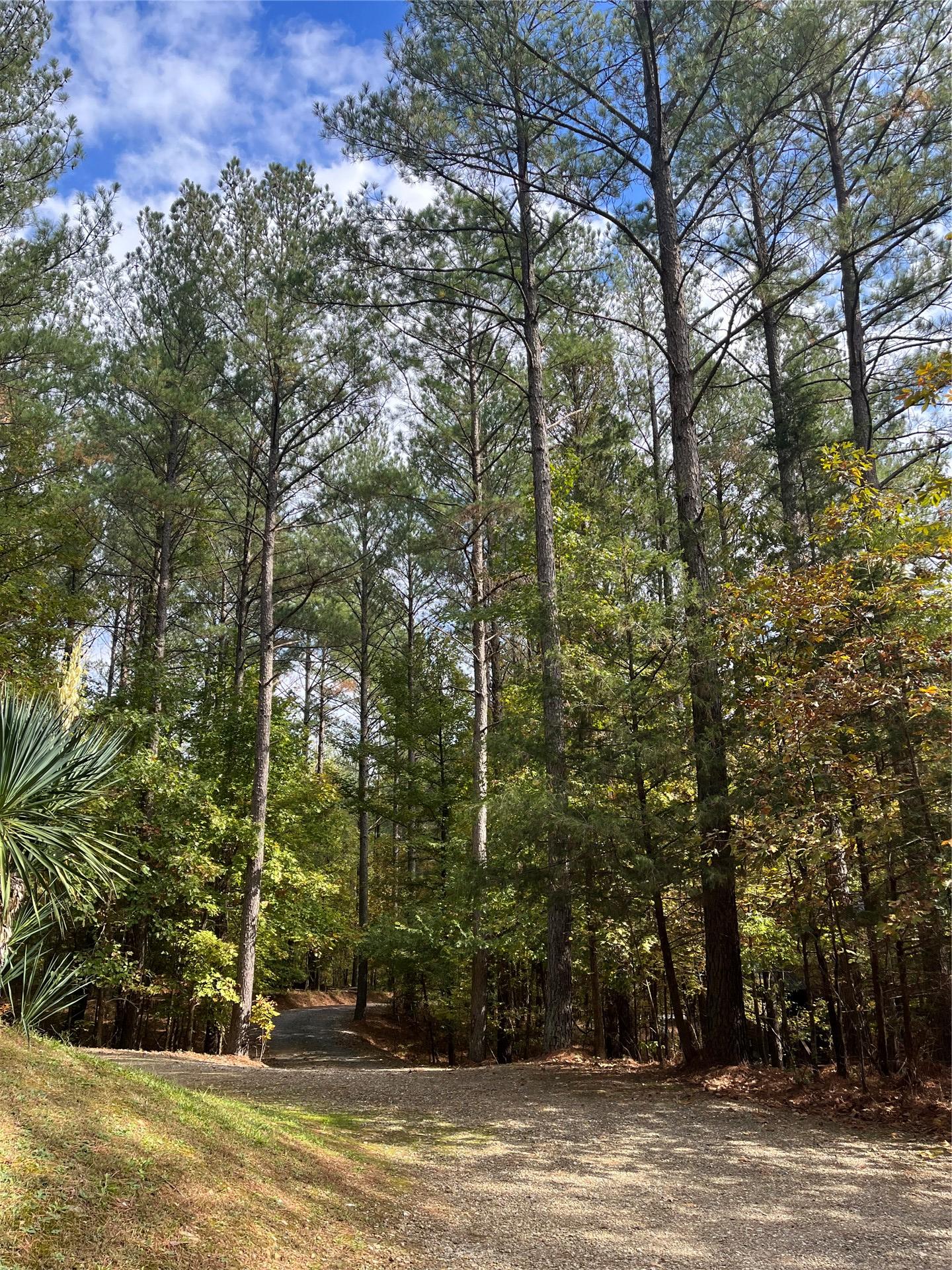 57 W High Peak Trail Broken Bow OK 74728