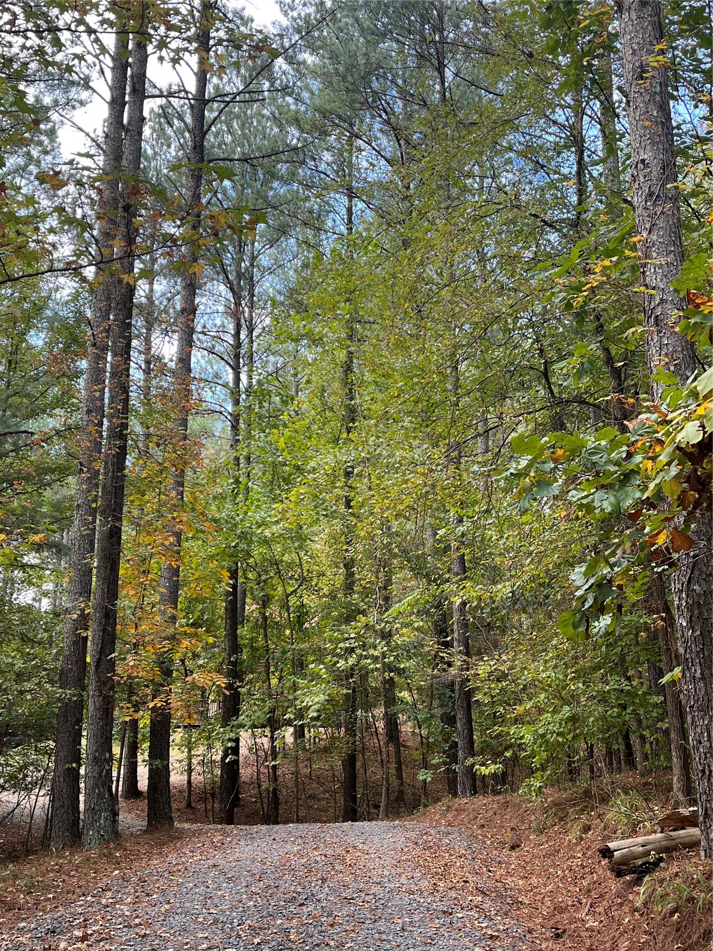 57 W High Peak Trail Broken Bow OK 74728