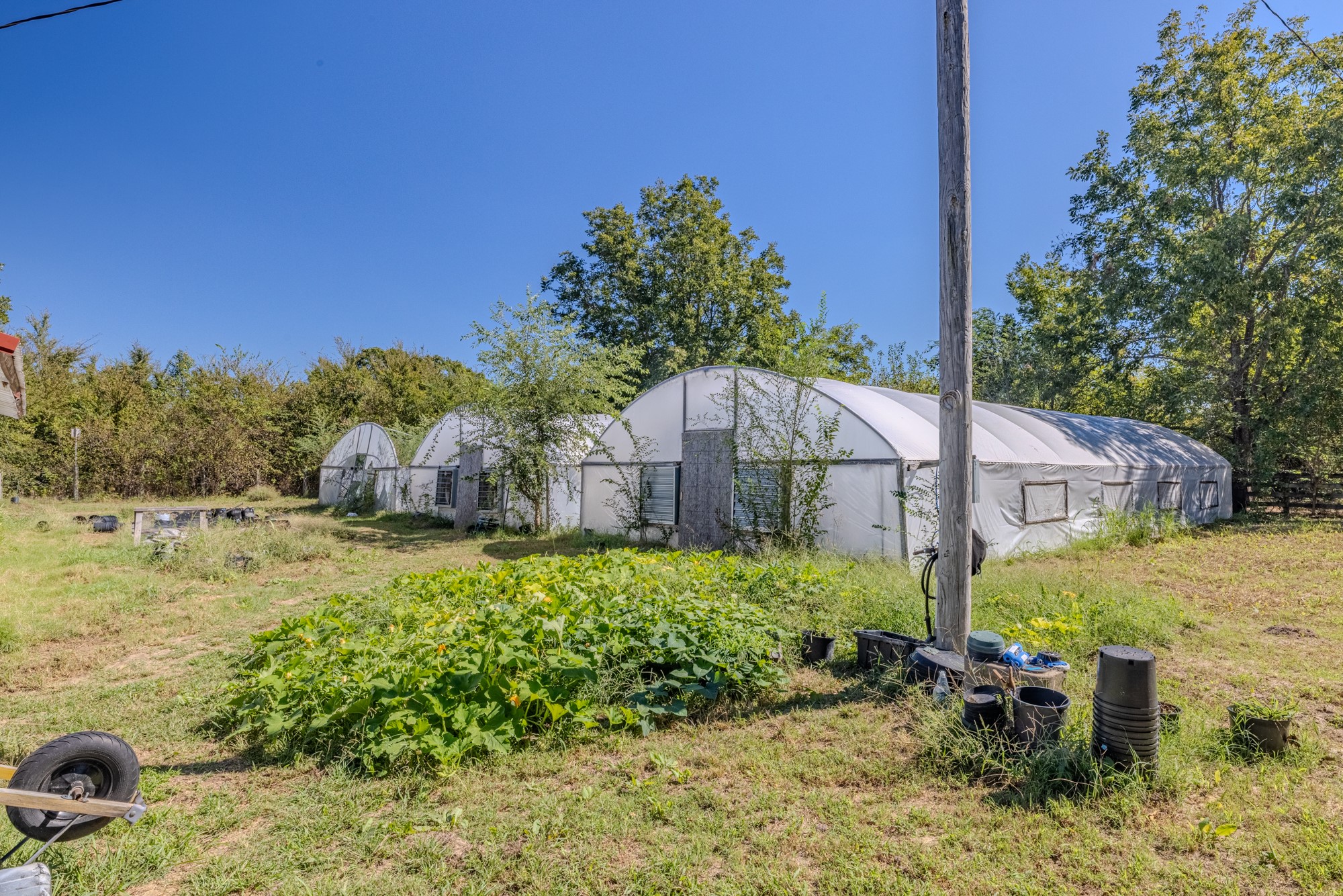 11290 Highway 56 Okemah OK 74859