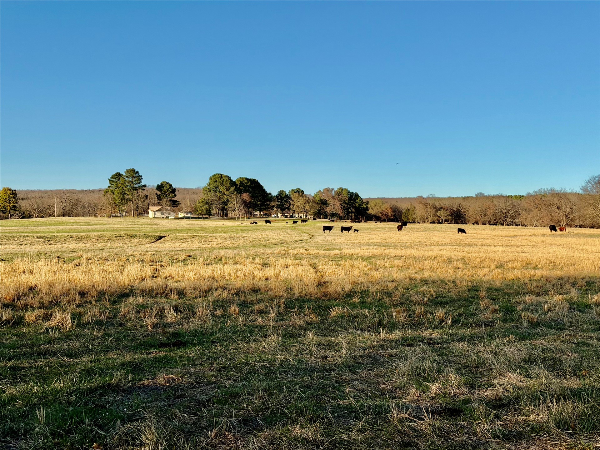 104001 S 4480 Road Vian OK 74962
