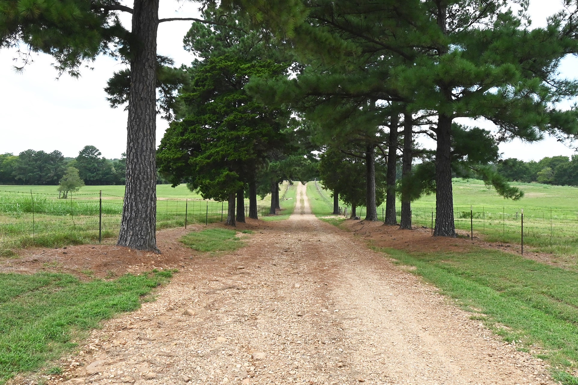104001 S 4480 Road Vian OK 74962