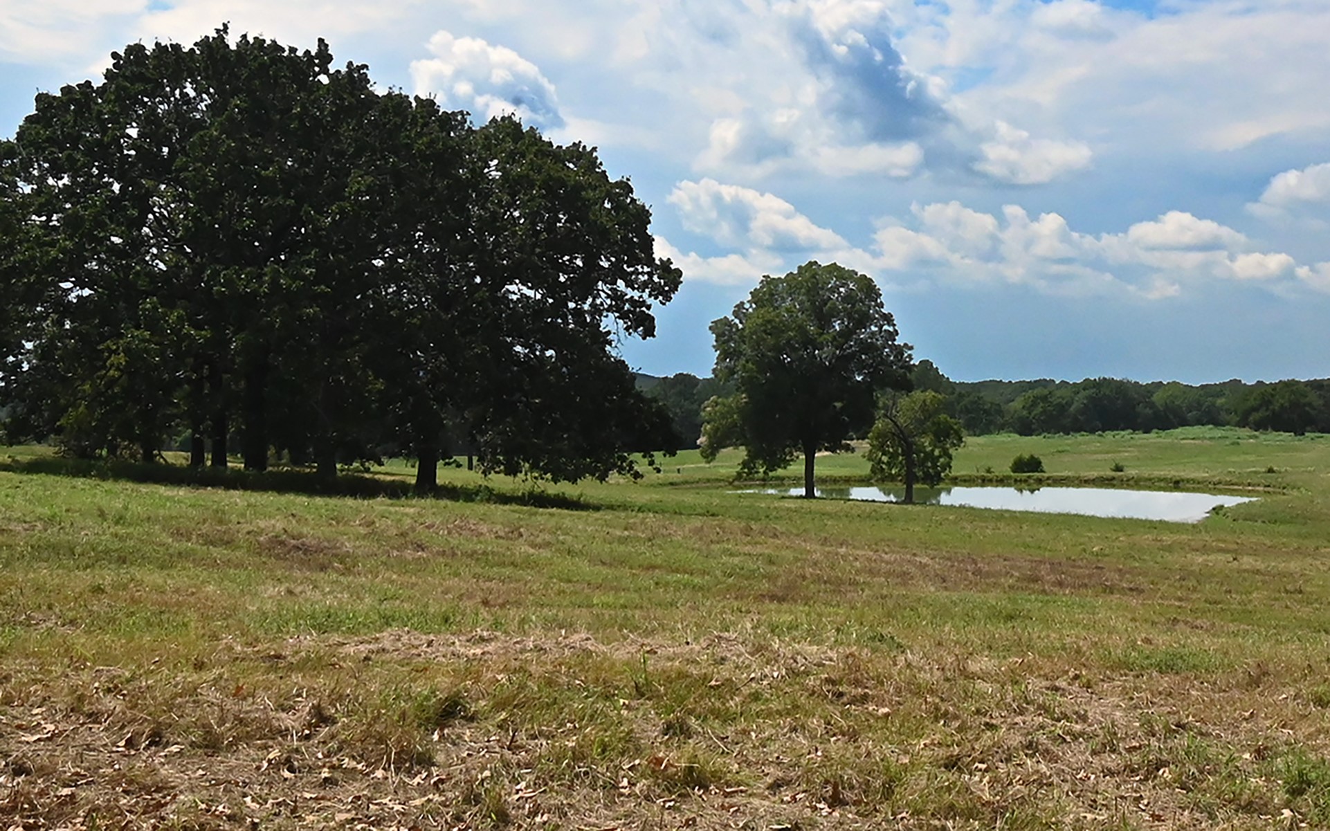104001 S 4480 Road Vian OK 74962