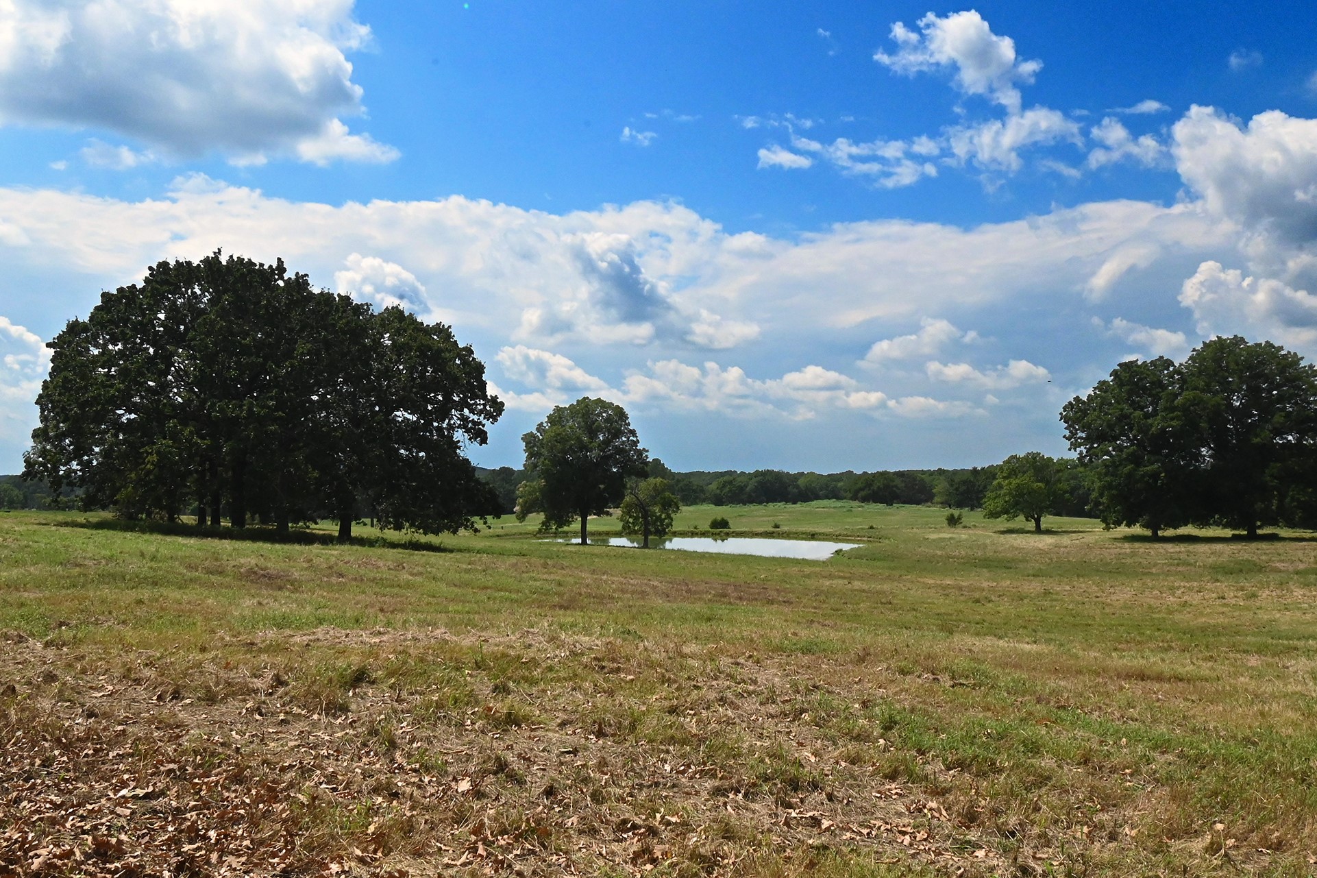 104001 S 4480 Road Vian OK 74962