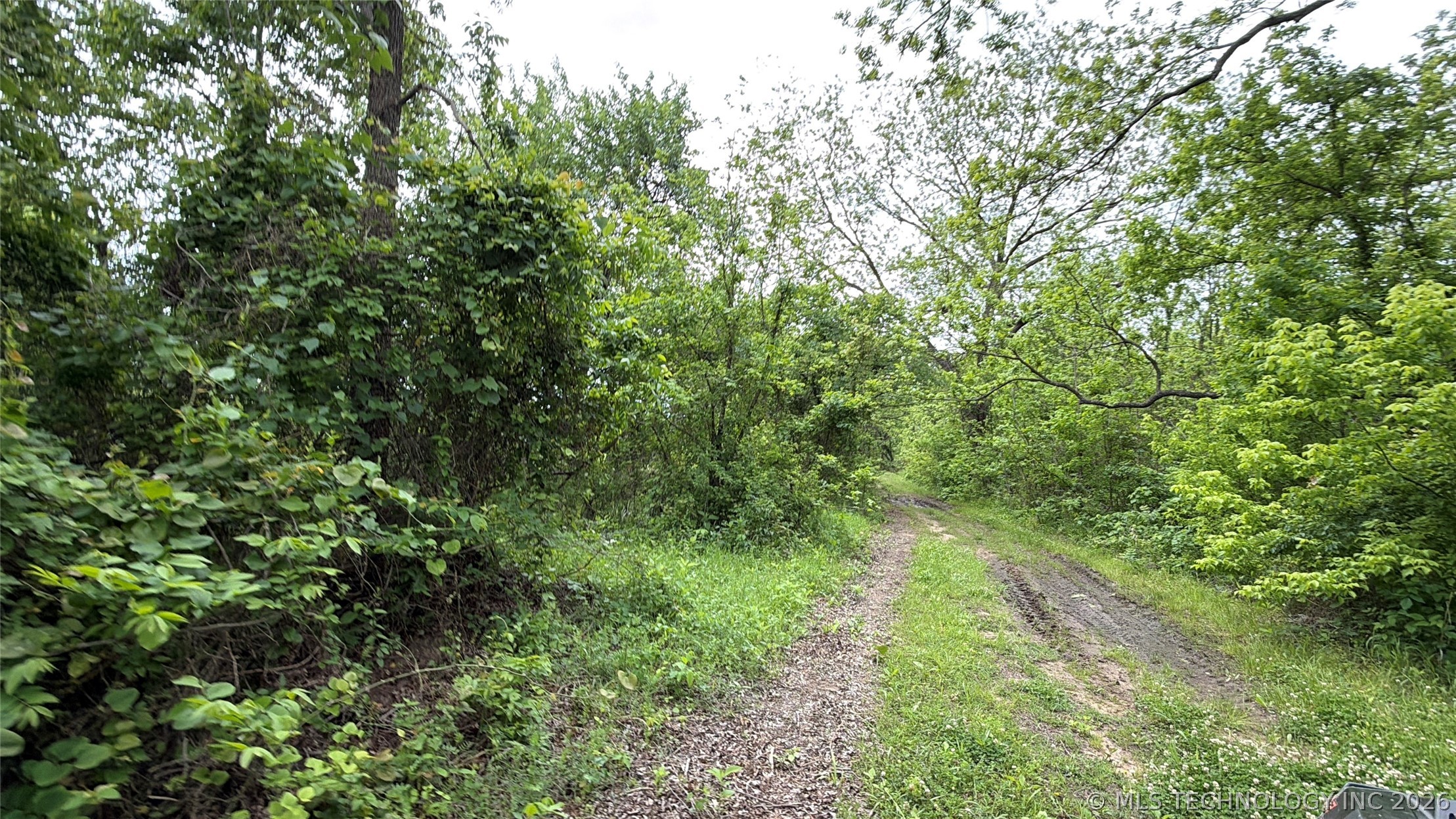 1589 County Road 5244 Hominy OK 74035