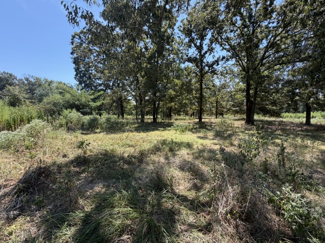 11093 SE 1142 Avenue Talihina OK 74571