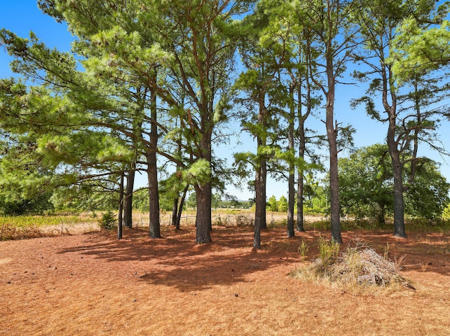 30063 S 4300 Road Stigler OK 74462